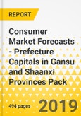 Consumer Market Forecasts - Prefecture Capitals in Gansu and Shaanxi Provinces Pack- Product Image