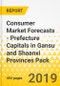 Consumer Market Forecasts - Prefecture Capitals in Gansu and Shaanxi Provinces Pack - Product Thumbnail Image