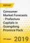 Consumer Market Forecasts - Prefecture Capitals in Guangdong Province Pack - Product Thumbnail Image