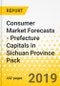 Consumer Market Forecasts - Prefecture Capitals in Sichuan Province Pack - Product Thumbnail Image