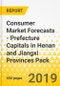 Consumer Market Forecasts - Prefecture Capitals in Henan and Jiangxi Provinces Pack - Product Thumbnail Image