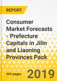 Consumer Market Forecasts - Prefecture Capitals in Jilin and Liaoning Provinces Pack- Product Image