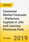 Consumer Market Forecasts - Prefecture Capitals in Jilin and Liaoning Provinces Pack - Product Thumbnail Image