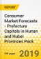 Consumer Market Forecasts - Prefecture Capitals in Hunan and Hubei Provinces Pack - Product Thumbnail Image