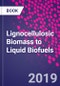 Lignocellulosic Biomass to Liquid Biofuels - Product Thumbnail Image
