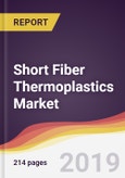 Short Fiber Thermoplastics Market Report: Trends, Forecast and Competitive Analysis- Product Image