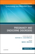 Pregnancy and Endocrine Disorders, An Issue of Endocrinology and Metabolism Clinics of North America. The Clinics: Internal Medicine Volume 48-1- Product Image