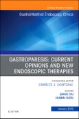 Gastroparesis: Current Opinions and New Endoscopic Therapies, An Issue of Gastrointestinal Endoscopy Clinics. The Clinics: Internal Medicine Volume 29-1- Product Image