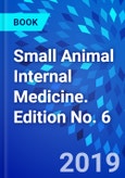 Small Animal Internal Medicine. Edition No. 6- Product Image
