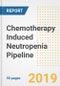 Chemotherapy Induced Neutropenia Pipeline Analysis and Outlook, 2019 - Product Thumbnail Image
