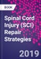 Spinal Cord Injury (SCI) Repair Strategies - Product Thumbnail Image
