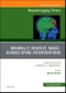 Spine Intervention, An Issue of Neuroimaging Clinics of North America. The Clinics: Radiology Volume 29-4 - Product Thumbnail Image