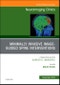 Spine Intervention, An Issue of Neuroimaging Clinics of North America. The Clinics: Radiology Volume 29-4 - Product Image