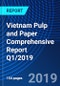 Vietnam Pulp and Paper Comprehensive Report Q1/2019 - Product Thumbnail Image