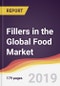 Fillers in the Global Food Market Report: Trends, Forecast and Competitive Analysis - Product Thumbnail Image