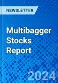 Multibagger Stocks Report- Product Image