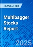 Multibagger Stocks Report- Product Image