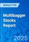 Multibagger Stocks Report - Product Image