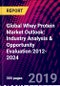 Global Whey Protein Market Outlook: Industry Analysis & Opportunity Evaluation 2012-2024 - Product Thumbnail Image