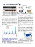 The Schork Report - Fundamental and Technical Analysis of the Energy Markets (Basic Subscription)- Product Image