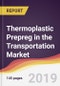 Thermoplastic Prepreg in the Transportation Market Report: Trends, Forecast and Competitive Analysis - Product Thumbnail Image