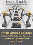 Private Wireless Solutions Market for Dedicated LTE and 5G New Radio (5GNR) in Enterprise Automation, Industrial IoT Applications and Services 2019-2024- Product Image