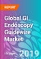 Global GI Endoscopy Guidewire Market - Product Thumbnail Image