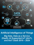 Artificial Intelligence (AI) in Big Data, Data as a Service (DaaS), AI Supported IoT (AIoT), and AIoT DaaS 2019 - 2024- Product Image