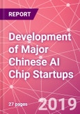 Development of Major Chinese AI Chip Startups- Product Image
