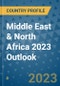 Middle East & North Africa 2023 Outlook - Product Thumbnail Image