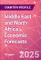 Middle East and North Africa - Economic Forecasts - Product Image