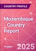 Mozambique - Country Report- Product Image