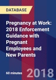 Pregnancy at Work: 2018 Enforcement Guidance with Pregnant Employees and New Parents- Product Image