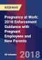 Pregnancy at Work: 2018 Enforcement Guidance with Pregnant Employees and New Parents - Webinar (Recorded) - Product Thumbnail Image