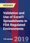 Validation and Use of Excel® Spreadsheets in FDA Regulated Environments - Webinar - Product Thumbnail Image