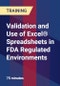 Validation and Use of Excel® Spreadsheets in FDA Regulated Environments - Product Thumbnail Image