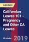 Californian Leaves 101 - Pregnancy and Other CA Leaves - Webinar (Recorded) - Product Thumbnail Image