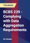 BCBS 239 - Complying with Data Aggregation Requirements - Webinar (Recorded) - Product Thumbnail Image
