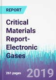 Critical Materials Report-Electronic Gases- Product Image