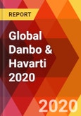 Global Danbo & Havarti 2020- Product Image