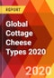 Global Cottage Cheese Types 2020 - Product Thumbnail Image