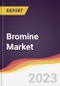 Bromine Market Report: Trends, Forecast and Competitive Analysis - Product Image