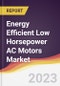 Energy Efficient Low Horsepower AC Motors Market Report: Trends, Forecast and Competitive Analysis - Product Image