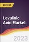 Levulinic Acid Market Report: Trends, Forecast and Competitive Analysis - Product Thumbnail Image