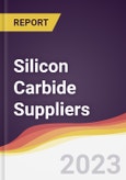 Leadership Quadrant and Strategic Positioning of Silicon Carbide Suppliers- Product Image