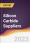Leadership Quadrant and Strategic Positioning of Silicon Carbide Suppliers - Product Thumbnail Image