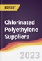 Leadership Quadrant and Strategic Positioning of Chlorinated Polyethylene Suppliers - Product Thumbnail Image