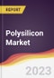 Polysilicon Market Report: Trends, Forecast and Competitive Analysis - Product Thumbnail Image