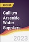 Gallium Arsenide Wafer Suppliers Strategic Positioning and Leadership Quadrant - Product Image