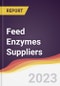 Leadership Quadrant and Strategic Positioning of Feed Enzymes Suppliers - Product Image